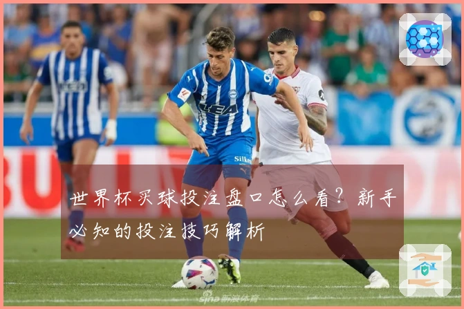 世界杯买球投注盘口怎么看？新手必知的投注技巧解析