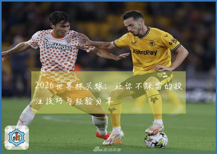 2026世界杯买球：让你不踩雷的投注技巧与经验分享