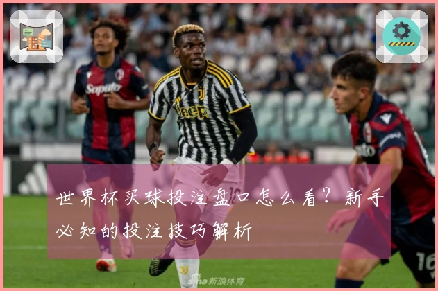 世界杯买球投注盘口怎么看？新手必知的投注技巧解析
