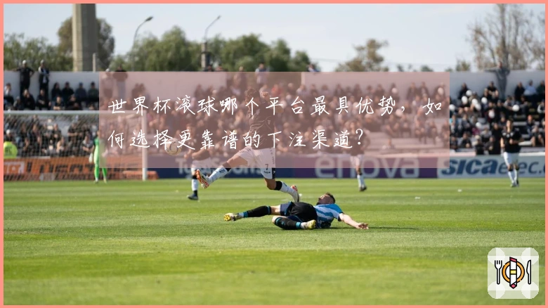 世界杯滚球哪个平台最具优势，如何选择更靠谱的下注渠道？